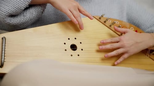 Musician Plays Stringed Instrument