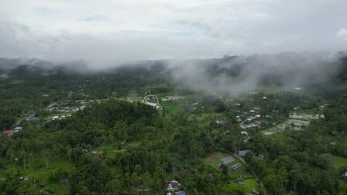 The City Hidden Behind Fog and Trees Viewed From the Air