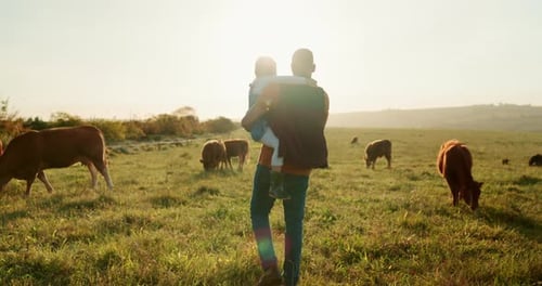 Family, farm and cattle with a girl and father walking on a field or grass meadow