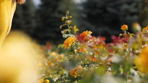 Woman with Headphones in Autumn Park