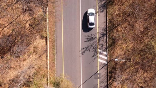The Car is Driving Along an Autumn Forest Road