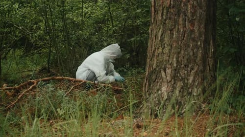 Taking Probe of Soil in Forest Geologist Man Worker Taking Measurements of Soil Probe By Scientific