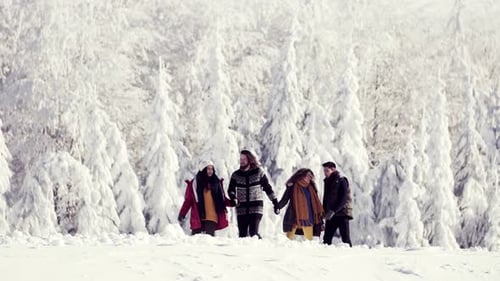 Winter Walk with Young Friends in Forest