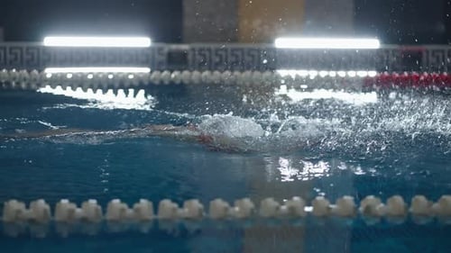 Athletic Woman Swimmer Practicing Butterfly Style In Swimming Pool Slow Motion Side View