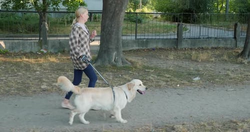 A Middleaged Woman Jogs in the Park with Her Golden Retriever