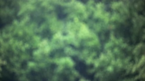 Calm rain falling in slow motion with a blurred background - copy space