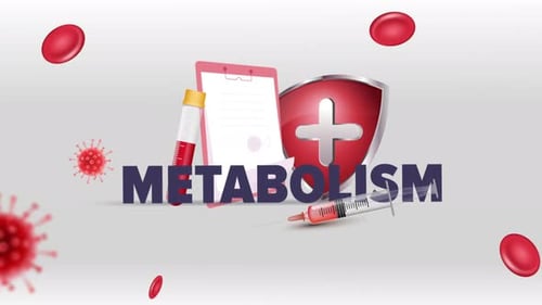 Medical Metabolism Infographic Icon Background