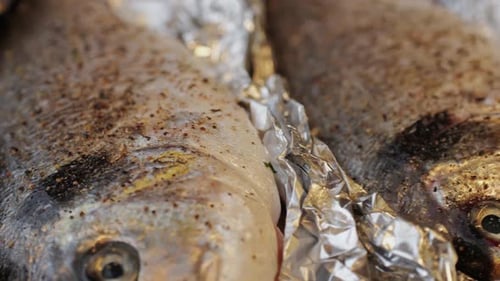 Frischer weißer Vollfisch aus Dorado-Seebarsch, gefüllt mit Zitrone und Zwiebel, fertig zum Garen im Ofen in Folie