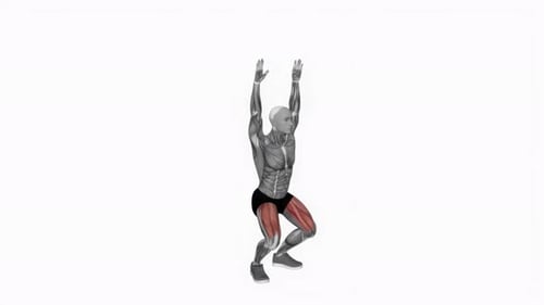 Squat Exercise Animation with Muscle Highlight