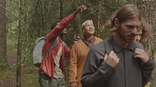 Group of Hikers Walking in Woods and Enjoying Nature