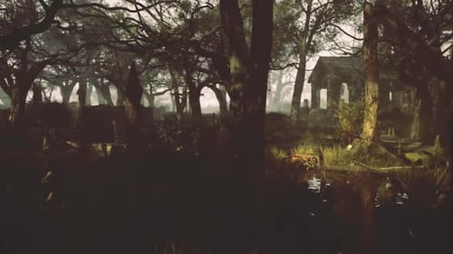 La forêt enchantée dévoile d'anciennes ruines sous la douce lumière du soir