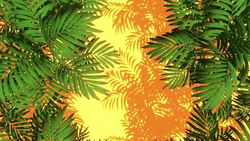 Tropical Palm Leaves and Shadows Animated Background Loop