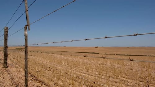 Barbed Wire Fence in Dry Rural Landscape