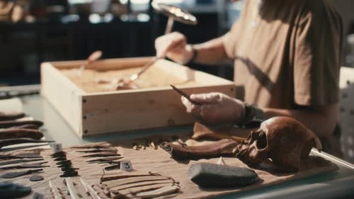 Labeled Artifacts on Laboratory Table during Archaeological Research