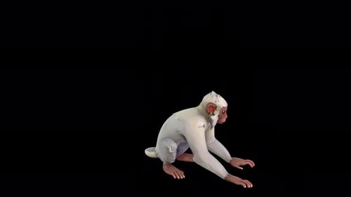 Animated 3D White Monkey Crouching Character Loop