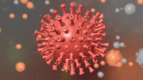 part of intestinal microbiome and causative agents of different infections