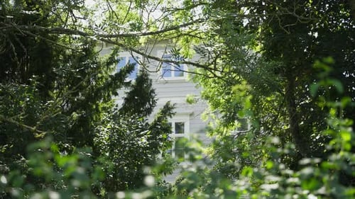White wooden house partially visible behind lush green trees sunlight filtering through leaves seren