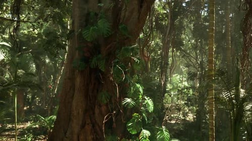 Lush Jungle Landscape in China Showcasing Vibrant Greenery and Sunlight
