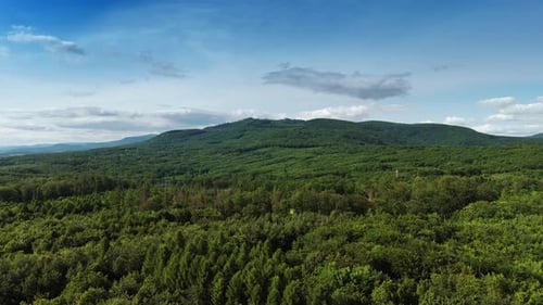 Rising above the lush green forests covering the scenery. Verdant mountains at backdrop.