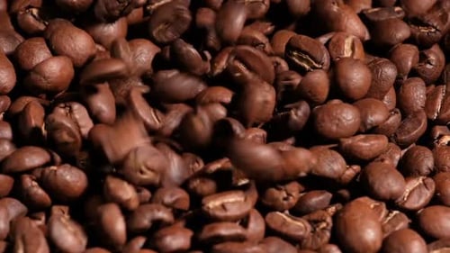 Falling Roasted Coffee Beans Close-Up