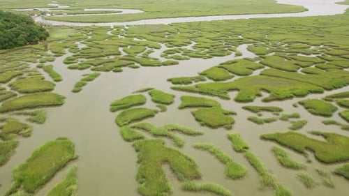 Georgia Circa-2019. Aerial View of Abstract Patterns of Wetlands in Georgia