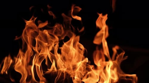 Roaring Fire Flames on Black Background