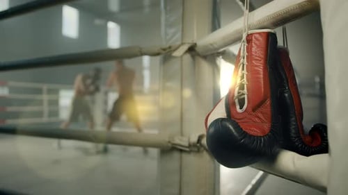Boxing Gloves Hang on Ropes as Men Spar