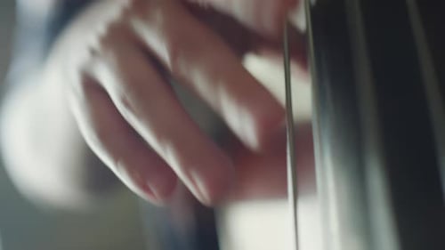Close Up of Upright Bass Strings Being Plucked