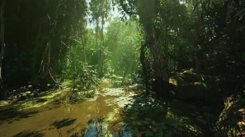 Vue pédagogique des écosystèmes de mangrove avec des informations biologiques