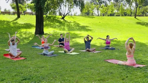 People Practicing Yoga Outdoors in Park