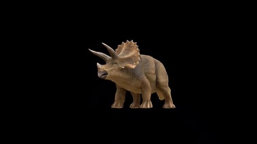 Triceratops-Dinosaurier-Essschleife