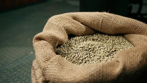 a worker throws a shovel for scooping products into a bag of raw coffee beans at the factory