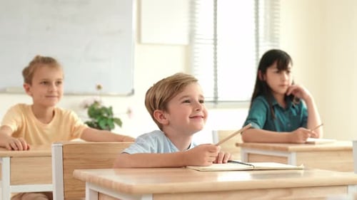 Elementary School Children Raising Hands in Classroom