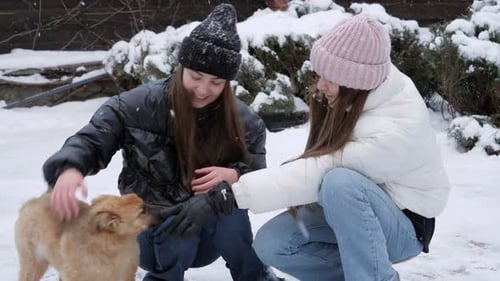 Happy teenage girls playing with their dog at winter in snow