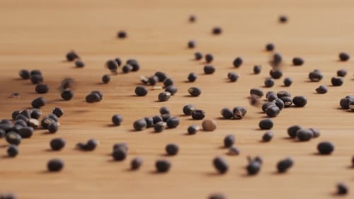 Urad Whole Lentil Black Beans Seeds Nuts Grains Plants Close Up Raw Chinese Soy Bean in Supermarket