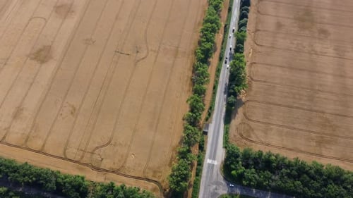 Automobile Asphalt Road with Cars Driving Along It Between Agricultural Fields
