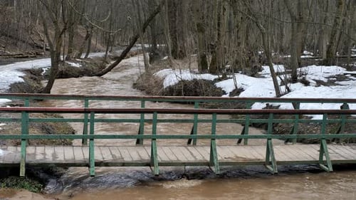 Spring flood in the forest. High water in april forest.