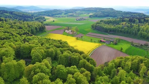 A Farm Stands on a Hill with Crop Fields White Bales of Hay and Pastures Surrounded By Forest