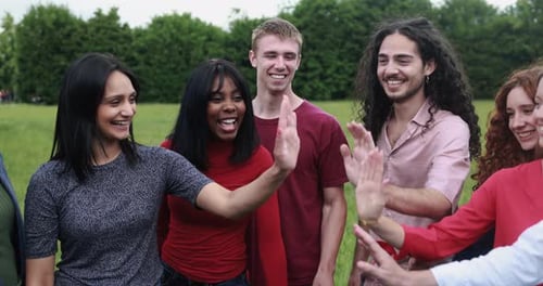 Smiling Friends Giving High Five Outside in Grassy Field