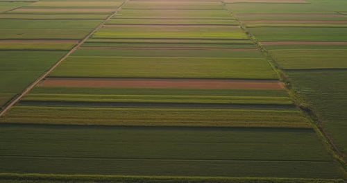 Sunrise Over Patchwork of Farmland and Fields