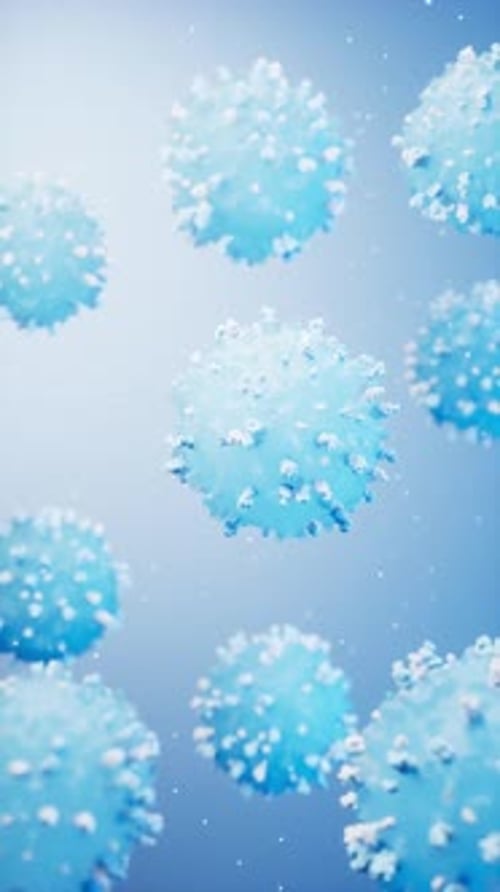 Lymphocytes and biological immune system