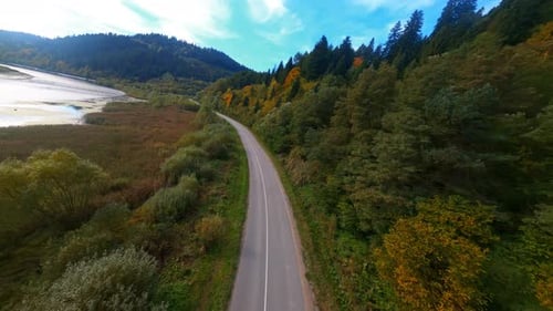 Cinematic Drone Video of Beautiful Deep Forest Colorful Trees and Mountain Range Landscape River