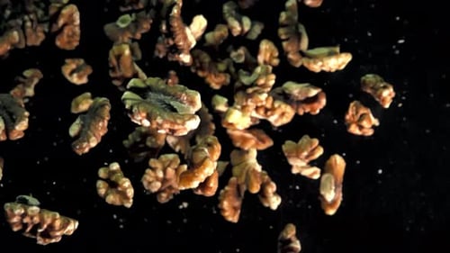 Slow Motion Walnuts Falling Against a Dark Background in a Studio Setting