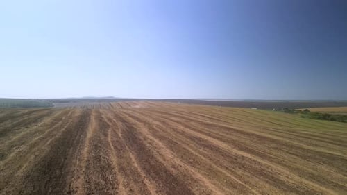 Tractor working on the field doing tillage with cultivator