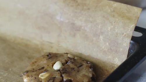 Cookies With Peanuts And Chocolate Chips. On A Baking Sheet Before Baking. Near The Container With T