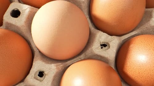 Carton of Fresh Brown Eggs Close Up