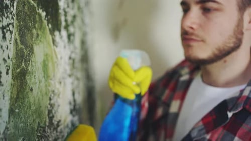 Dissatisfied Man Applying Chemical Spray Means to Remove Mold Killing on the Wall of the House Close