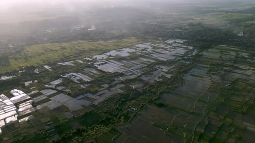 Green Nature Landscape of Rice Fields and Husbandry in Farm Environment at Bali