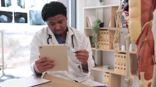 Medical Professional Examining Anatomical Model With Tablet