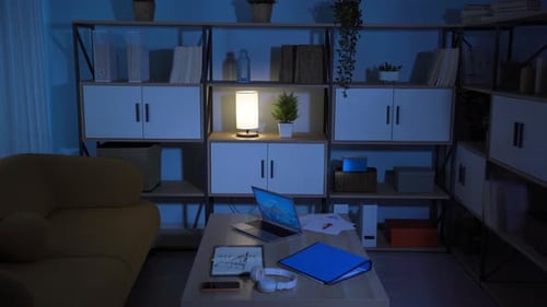 Burglar Breaking Into House at Night